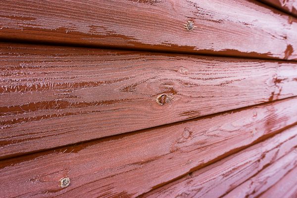 Cost of Cedar Siding Cleaning in Tallahassee