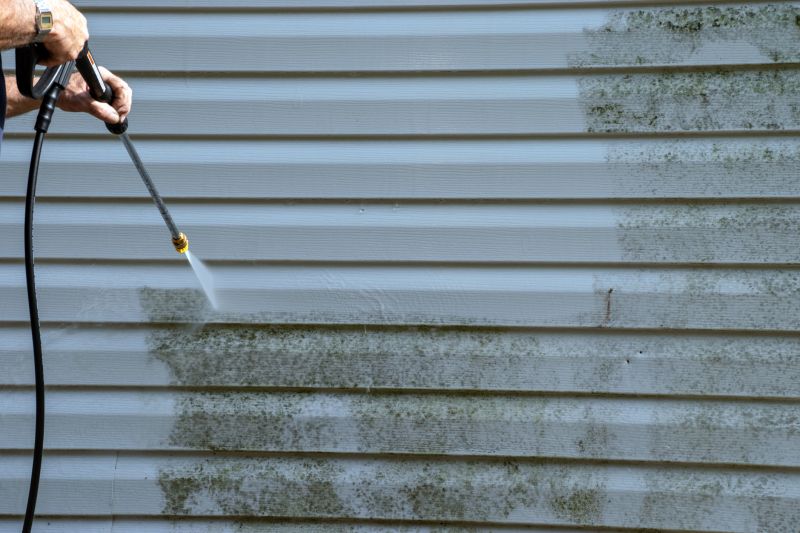 Cedar Siding Cleaning